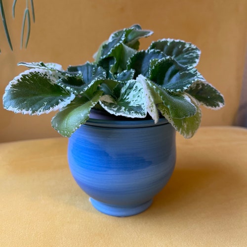 Ceramic self watering planter, Great for African violets & begonias, 4” size, (plant not included)