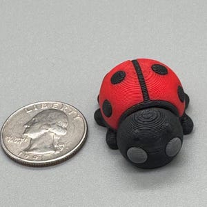 Puede incluir: Figura de mariquita impresa en 3D con caparazón rojo y puntos negros. La cabeza y las patas son negras. Una moneda de veinticinco centavos estadounidense está al lado para comparar el tamaño. Es un pequeño objeto decorativo.