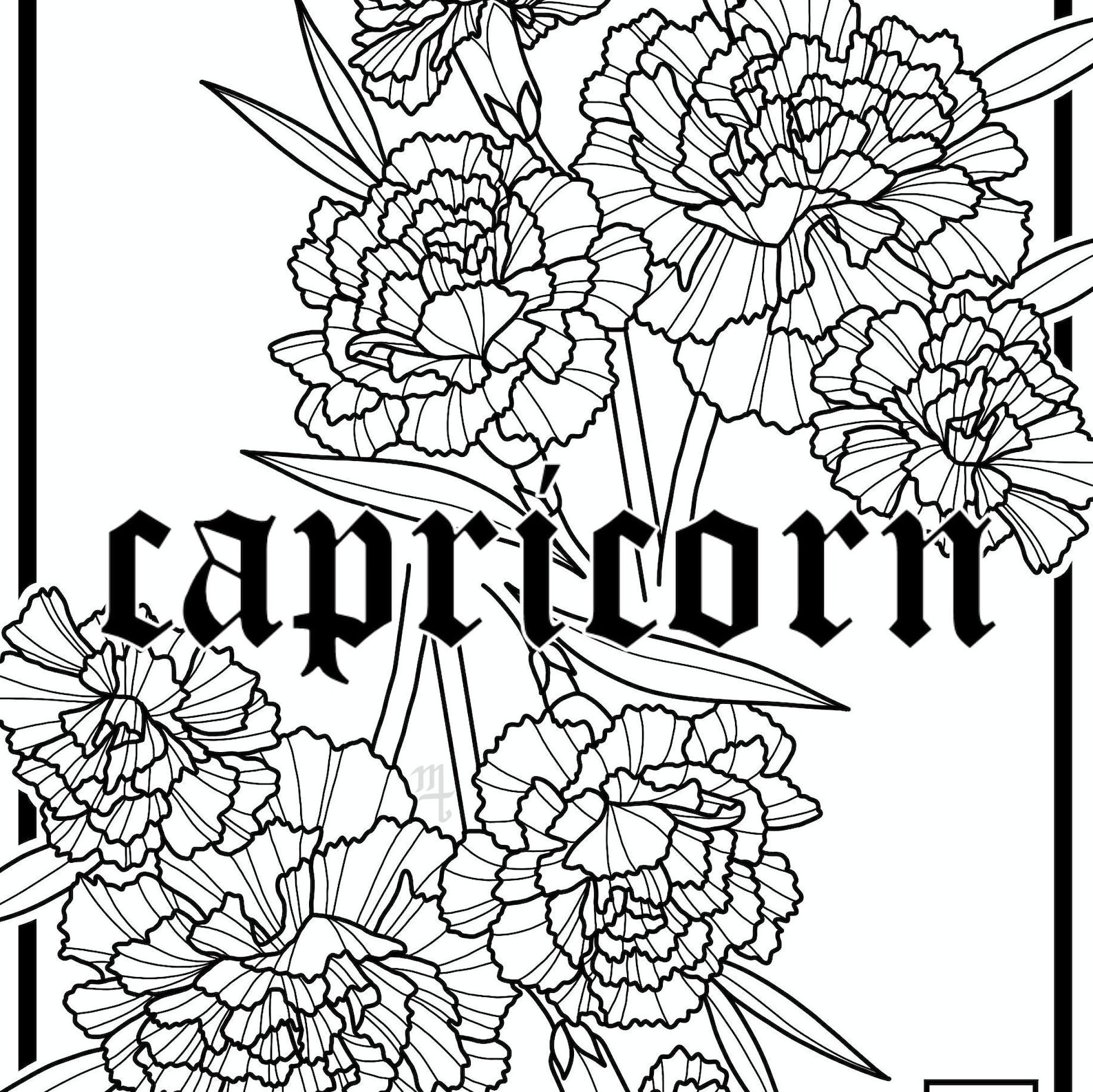Capricorn Zodiac Flower Print Carnations Etsy