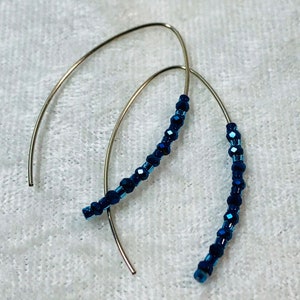 Fancy Ear Wire Beaded Blue Earrings