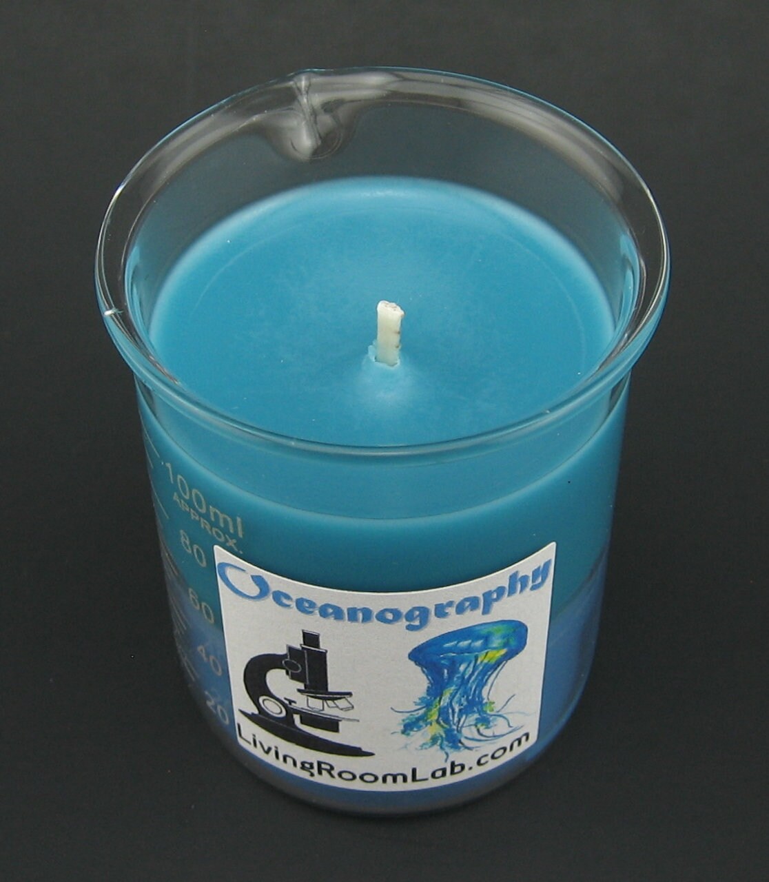 Mini Summer Chemistry Beaker Candle 100 mL Volume Etsy