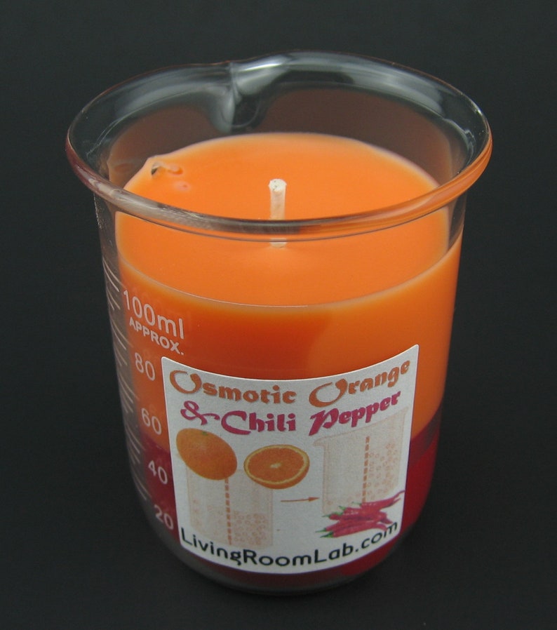 Mini Chemistry Beaker Candle 100 mL Volume Etsy