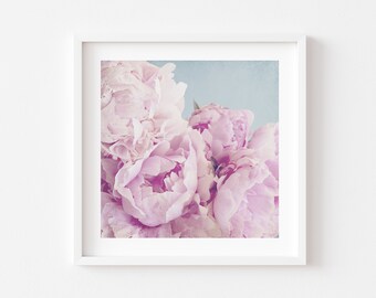 Pink Peony  Framed Print, Canvas or Print