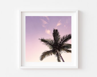 Pastel Palm Tree Sunset Coastal Framed Wall Art Print, Canvas or Print