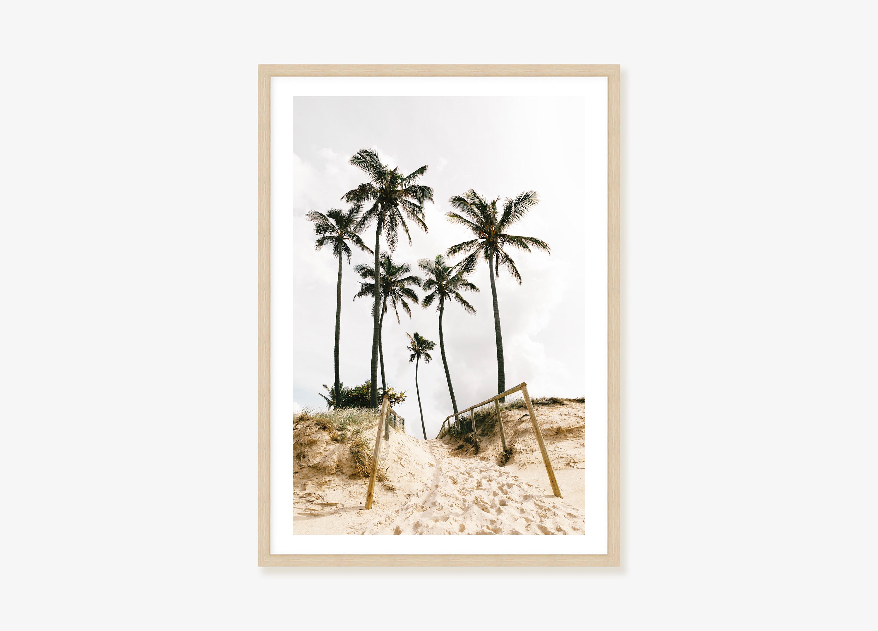 Palm Tree Framed Print, Canvas Or Print - Australian Coastal Decor