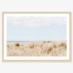 Coastal Sand Dune Print: Beach Willow, Golden Hour Photography