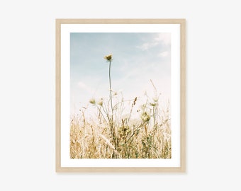 Queen Annes Lace and Summer Grass Country Wall Art Framed Print, Canvas or Print to Add to Your Rustic Country Boho Wall Decor