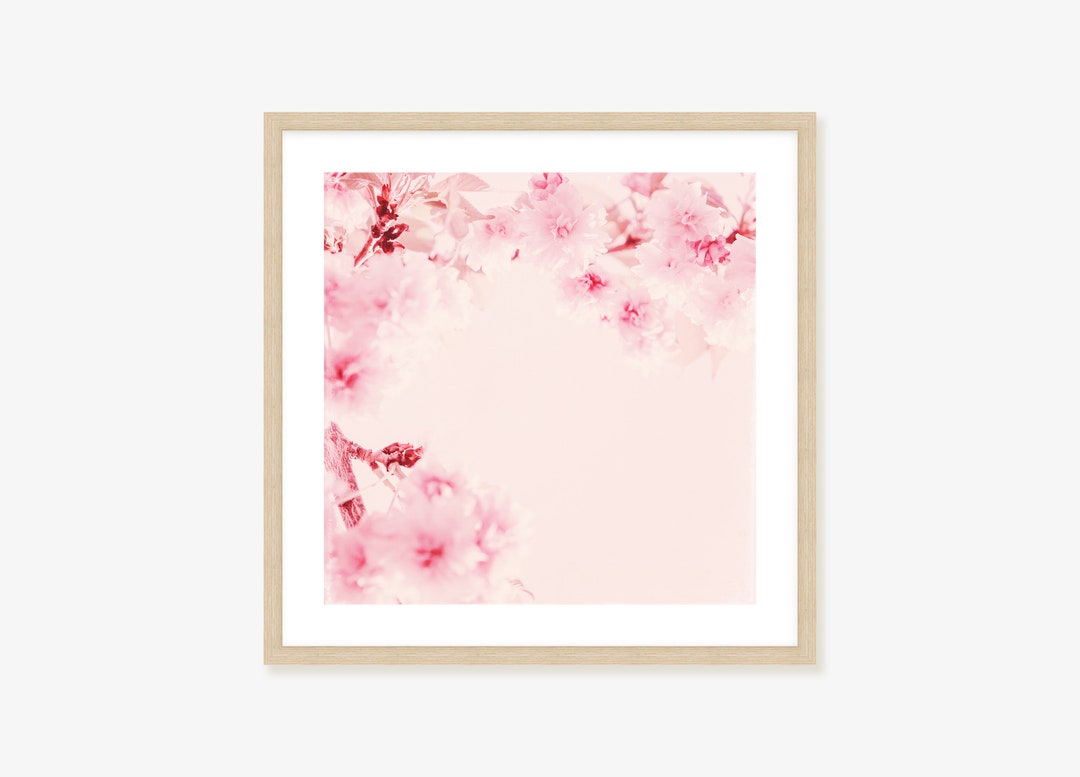 Pink Cherry Blossom Square Print Romantic Floral Wall Art Etsy