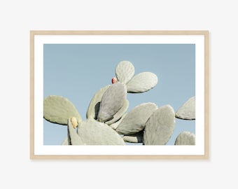 Cactus Framed Print, Canvas or Print  in blue and green tones