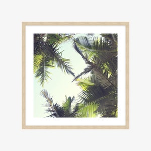Tropical Palm Tree Framed Print, Canvas or Print