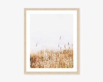 Country Summer Grass Photograph - Boho Wall Art Framed Print, Canvas or Print