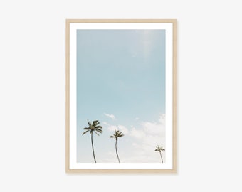 Palm Tree Framed Print, Canvas or Print  - Australian Coastal Photography