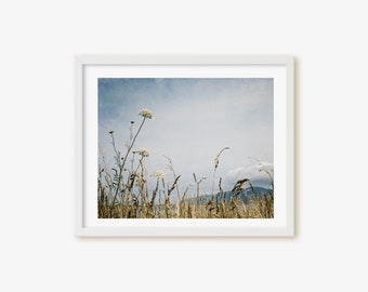 Coastal wildflowers Wall Art Framed Print, Canvas or Print in grey, blue and beige tones