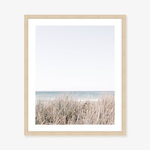 Coastal Sea Grass Framed Print: Beach Wall Art