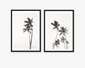 Puede incluir: Dos impresiones en blanco y negro enmarcadas de palmeras sobre un fondo blanco. La impresión de la izquierda muestra dos palmeras, mientras que la impresión de la derecha muestra cuatro palmeras.