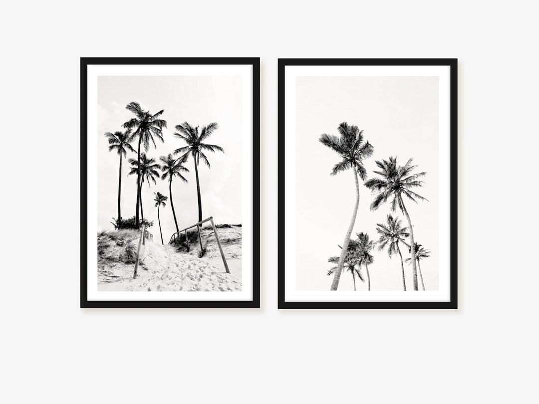 Black and White Palm Tree Print Set: Coastal Beach Photography - Etsy