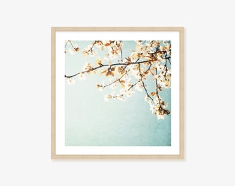 White Spring Blossom Framed Print, Canvas or Print - Dreamy Floral Wall Art