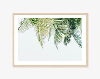 Australian Coastal Wall Art - Palm Tree Framed Print, Canvas or Print