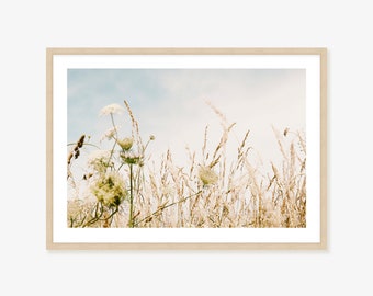 Queen Annes Lace and Wildflower Boho Wall Art Framed Print, Canvas or Print