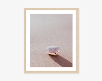 Coastal Wall Art Framed Print, Canvas or Print - Clam Shell and Sand Wall Art