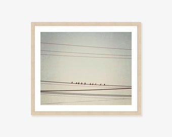 Birds on a Wire Framed Print, Canvas or Print