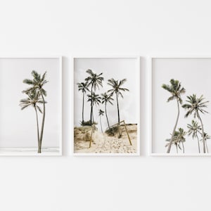 Coastal Framed Print, Canvas or Print Set of 3 - Palm Tree Wall Art, Coastal Decor