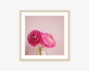 Pink Ranunculus Framed Print, Canvas or Print - Romantic Floral Wall Art