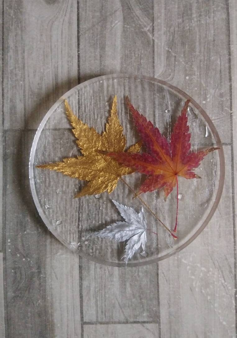 Dessous de Verre, Résine et Feuilles d'érable Du Japon