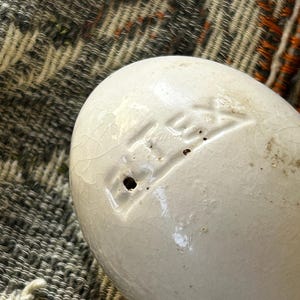 May include: An off-white ceramic darning egg with a smooth, crackled glaze finish. The word "DITEX" is embossed in capital letters on the side of the egg, positioned directly above a small, circular hole in the ceramic surface.