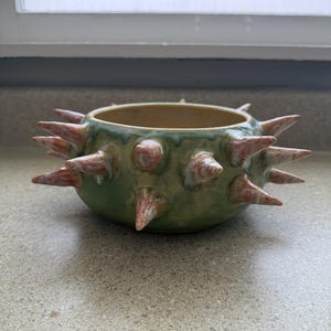 Tefnut | plant pot with spikes, cactus inspired plant pot, shallow and wide planter, handmade ceramic planter, one-of-a-kind pottery