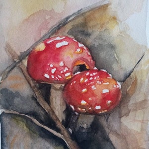 Watercolour Fly Agaric Funghi Fine Art Print - Irish Wildlife Series