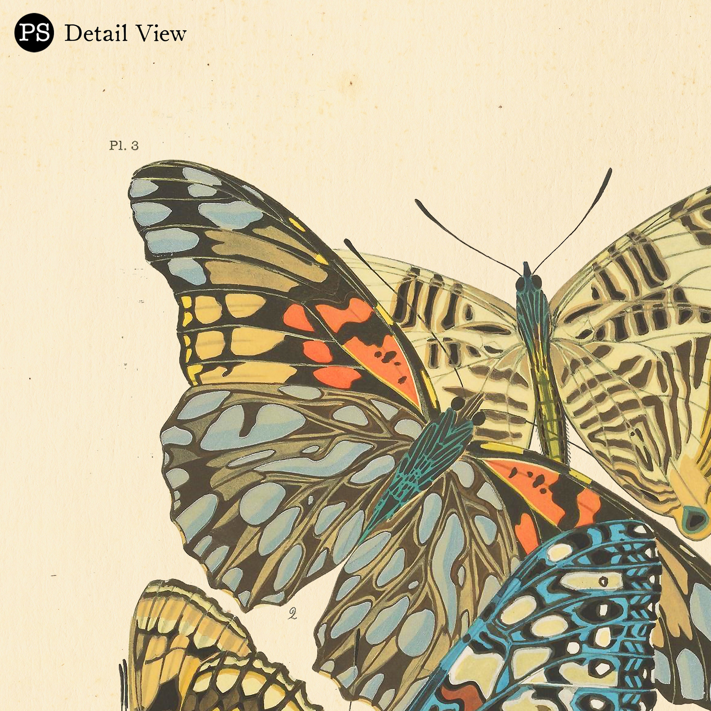 Butterfly wall art print vintage art deco nouveau butterfly  etsy