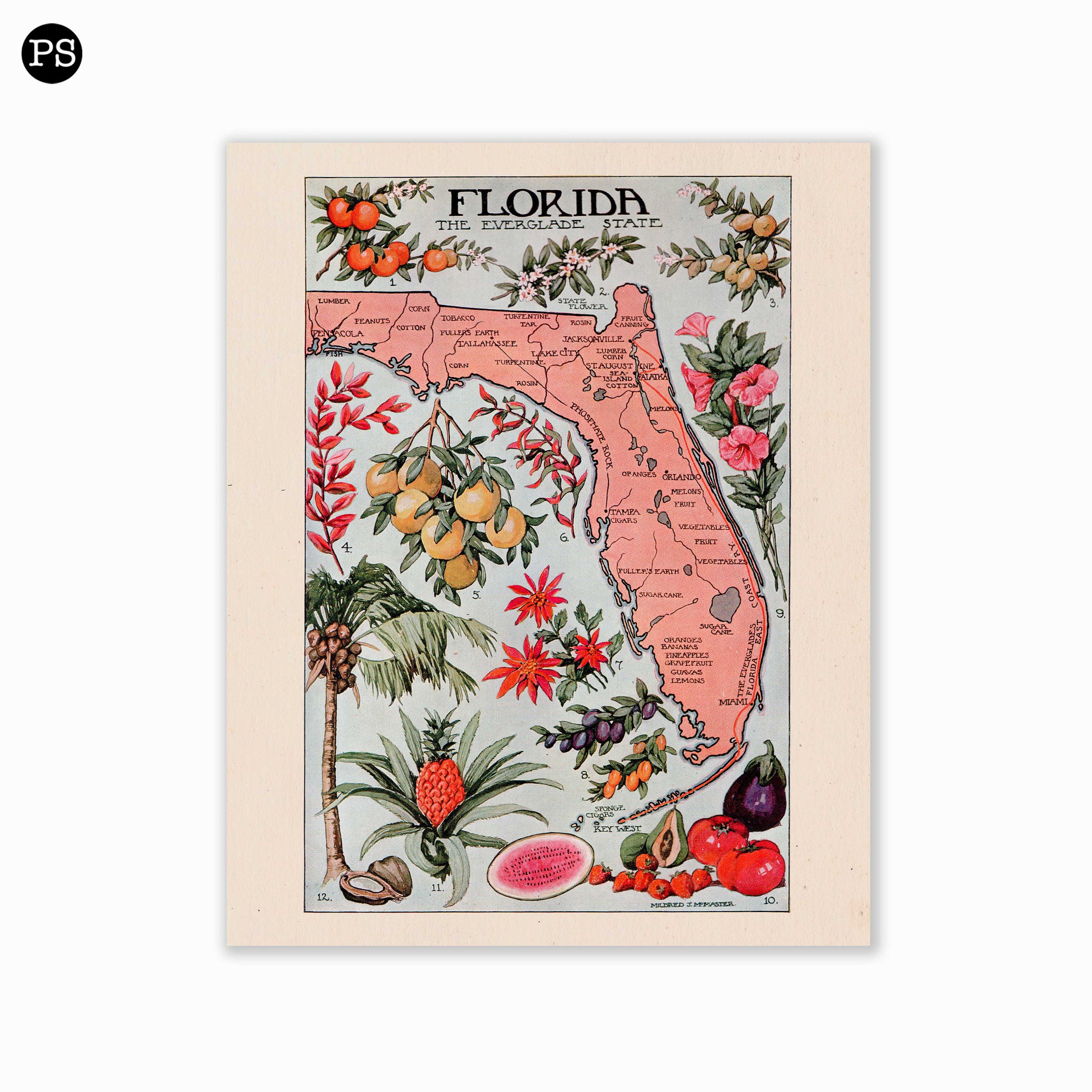 Vintage Florida Wall Art Print Vintage Florida Poster Etsy