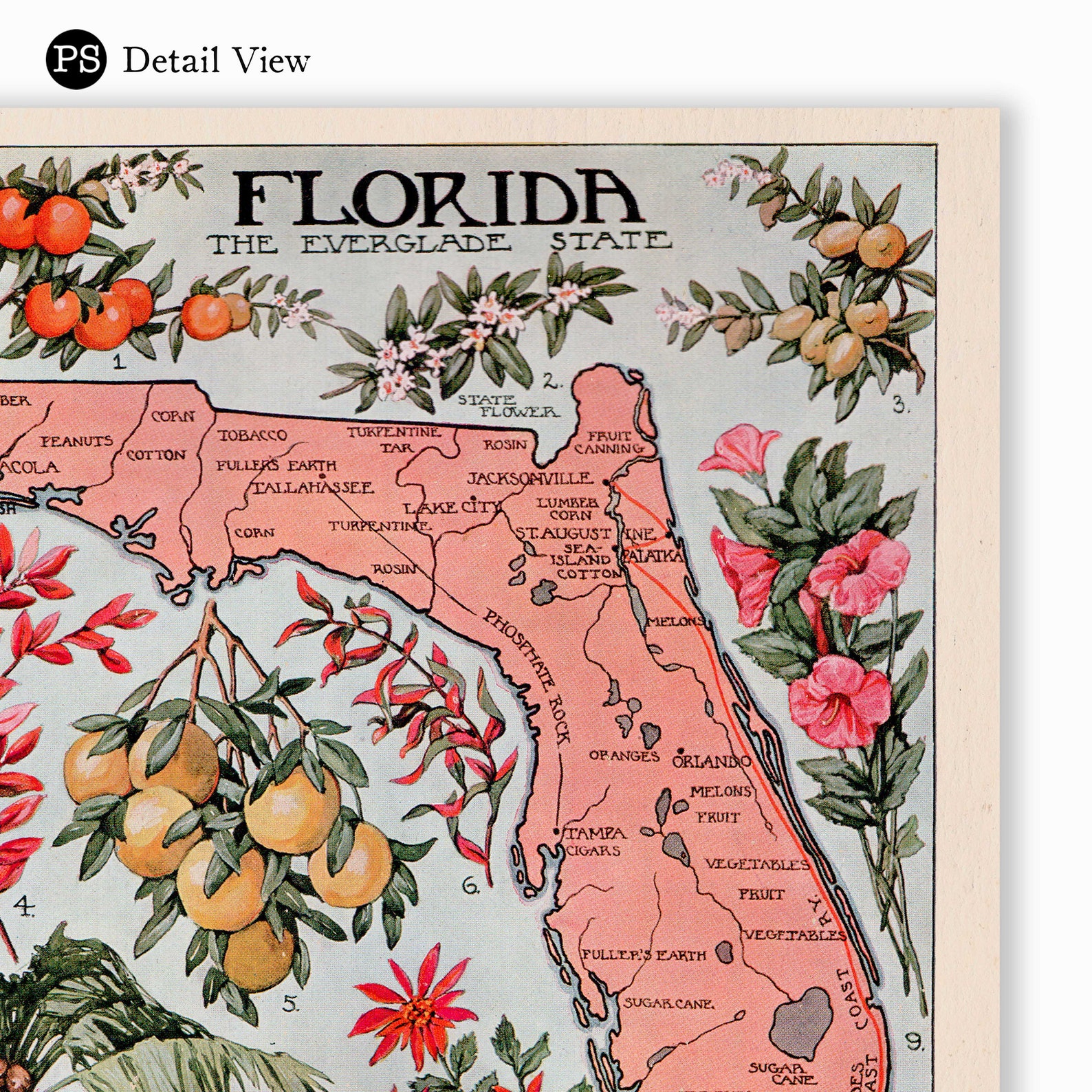 Vintage Florida Wall Art Print Vintage Florida Poster | Etsy