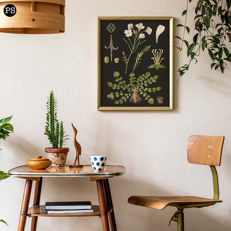 Vintage School Chart Floral Wall Art Botanical Print Etsy