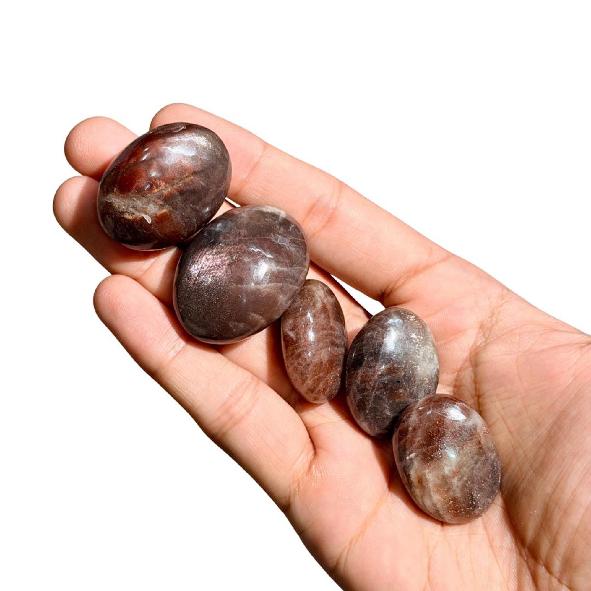 Arusha Sunstone with Iolite Palmstones
