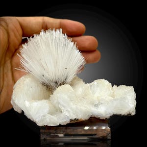 Puede incluir: Un cúmulo de cristales blancos con una gran formación de cristales blancos y plumosos en la parte superior. El cúmulo de cristales está sentado sobre una base negra.