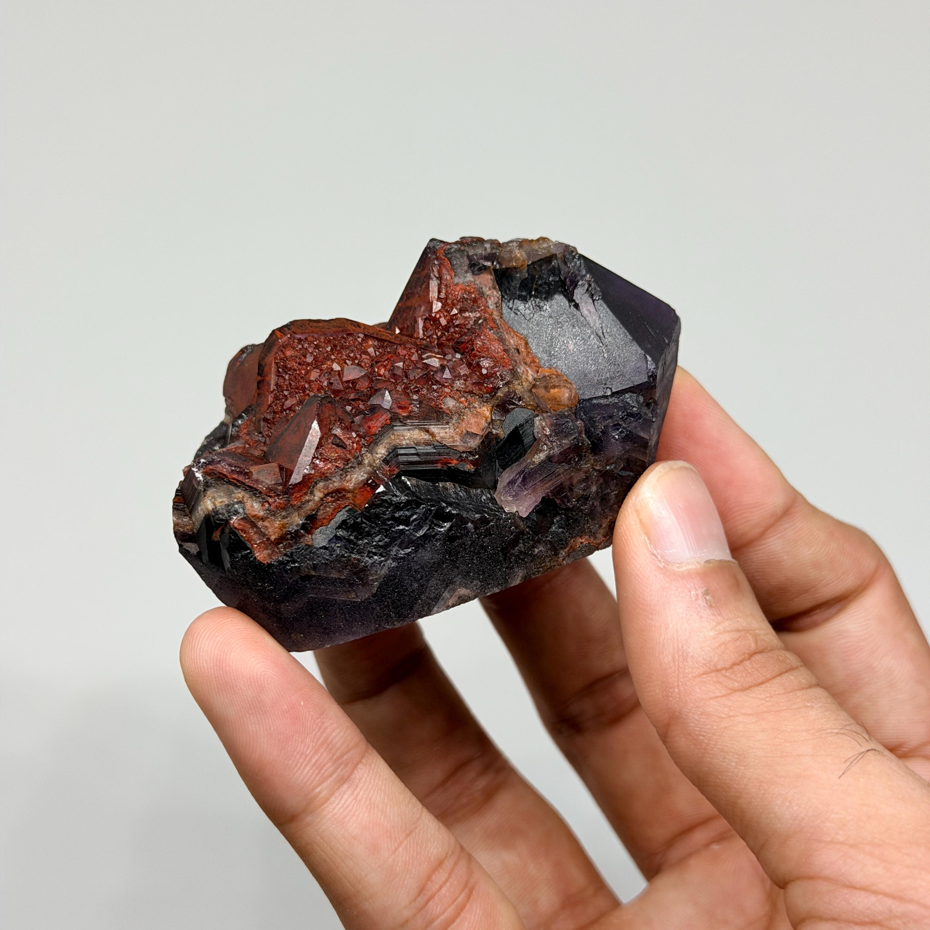 Alien Amethyst Dark Ember: #32 from Telangana