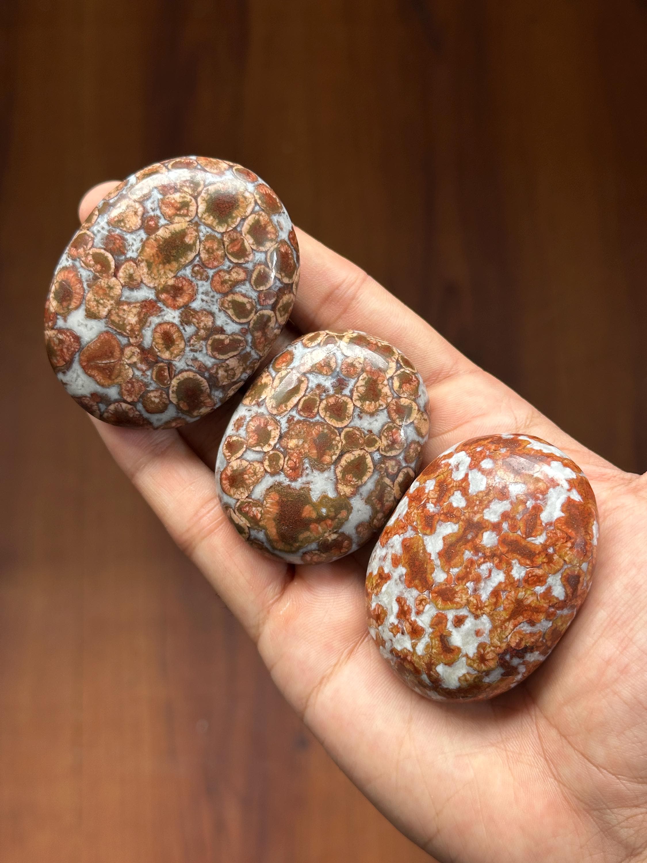 Leopard Skin Jasper Palmstones: Polished Healing Crystal for Grounding