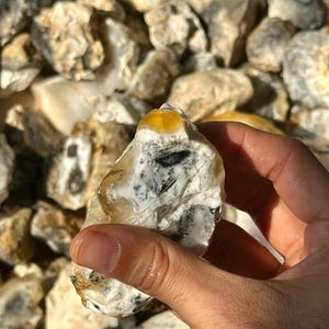 Puede incluir: Una piedra natural rugosa, blanca y gris, opaca, con un centro amarillo-naranja. La piedra tiene una forma rugosa e irregular y se está sosteniendo en una mano.