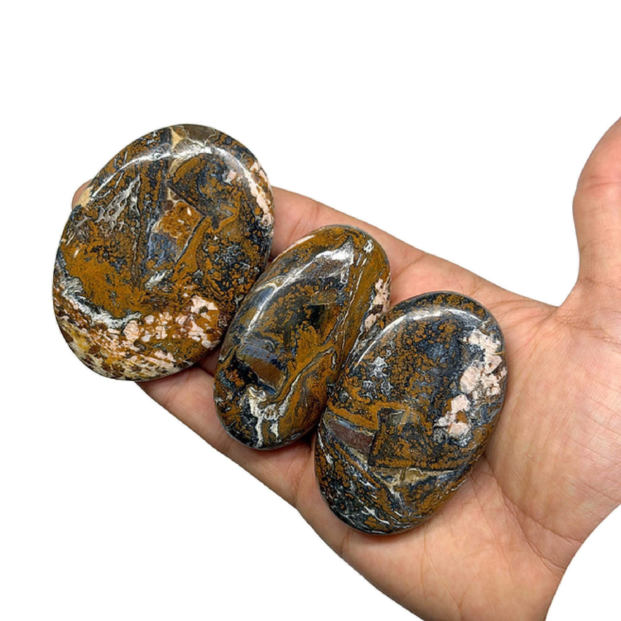 Bulk Pietersite Palmstones