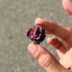 May include: A small, deep red gemstone carving shaped like the deity Ganesha. The stone features a polished, dark burgundy surface with intricate details depicting the elephant-headed figure seated in a meditative pose within a floral-like structure.