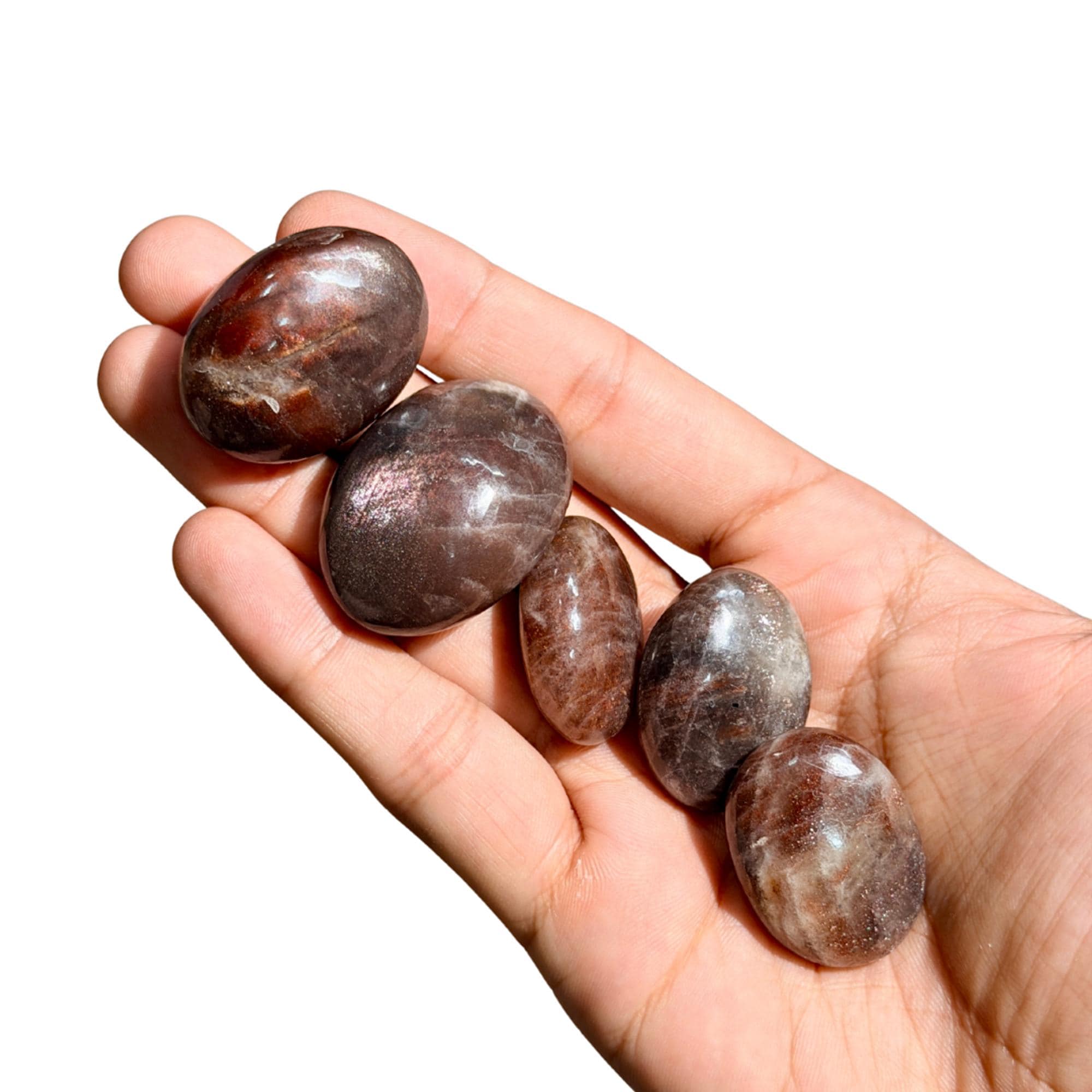 Arusha Sunstone with Iolite Palmstone