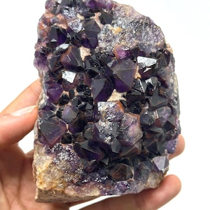 613g Red-Capped Amethyst Cluster (Auralite-23), Natural “Alien Amethyst” from India, Hematite-Tipped Crystal on Matrix