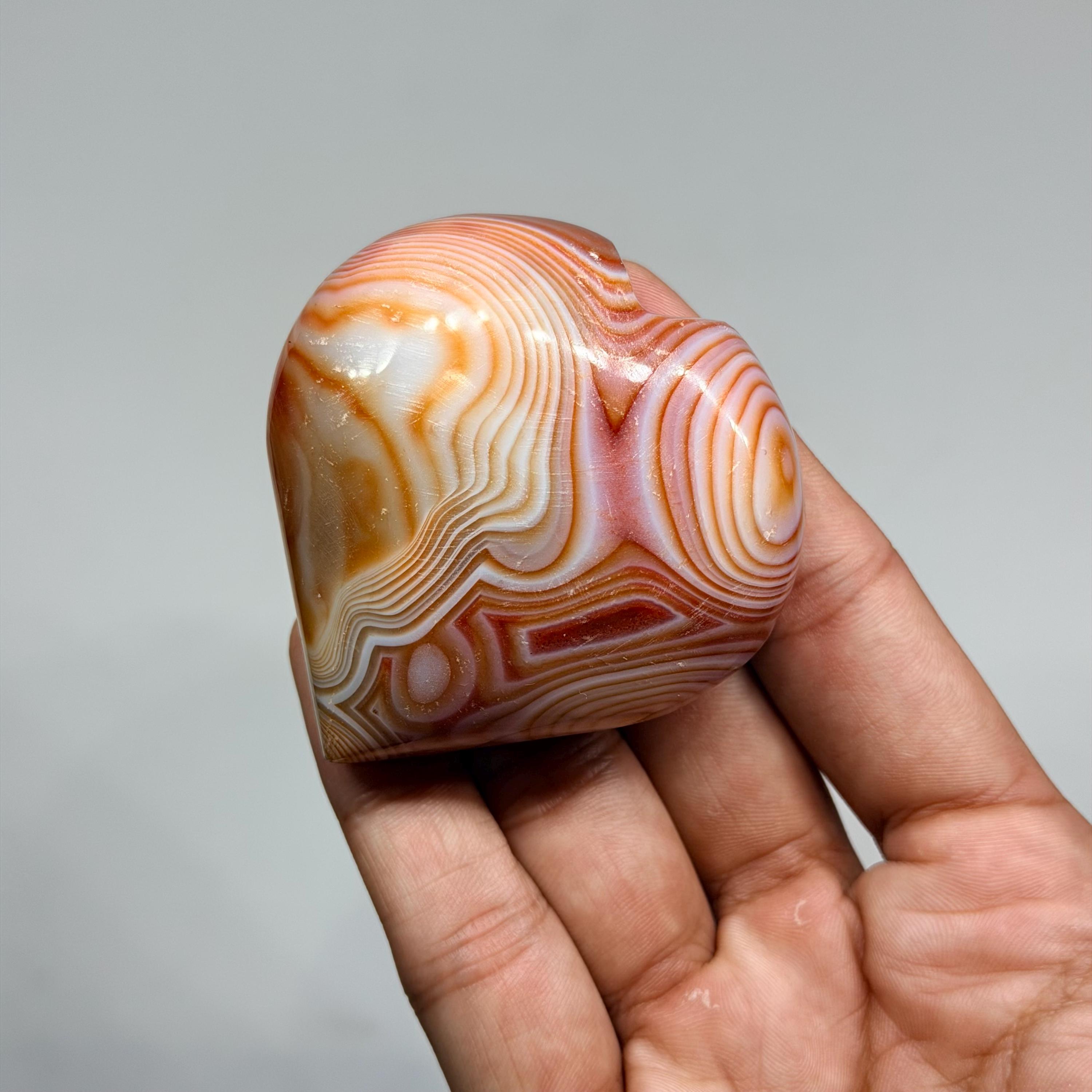 Laguna Agate Palm Stone: Burnt Orange Mexican Display Piece