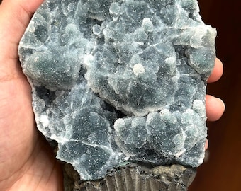 Botryoidal Chalcedony with Druzy Quartz – Blue-Grey Mineral Display Specimen