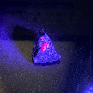 May include: A dark, irregularly shaped rock with a vibrant pink mineral inclusion. The rock is illuminated by a blue light, highlighting the pink and other small red spots. The surface appears textured.