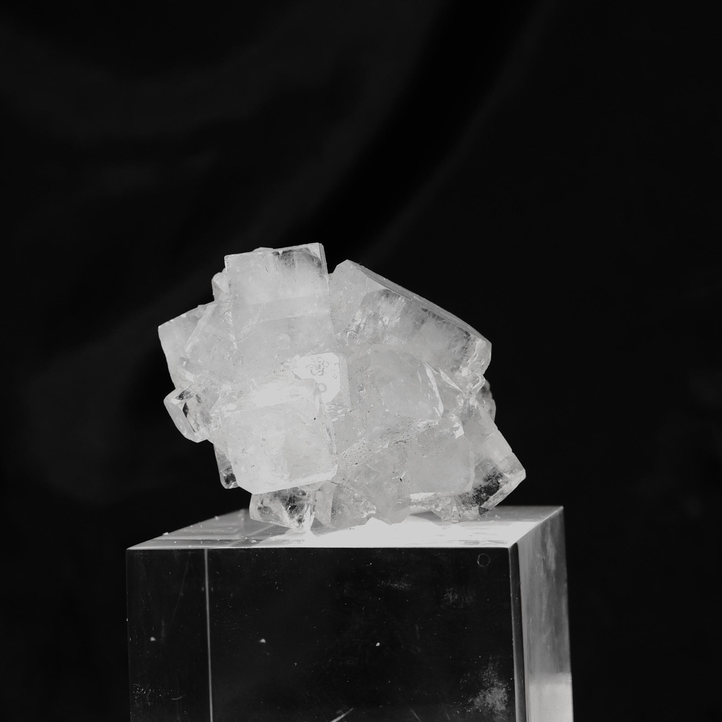 Diamond Apophyllite from Jalgaon Quarries #27: Heulandite Halo