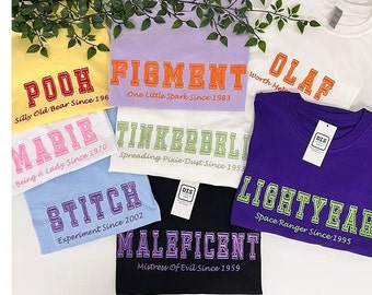 Magischer Charakter - Theme Park WDW, DLP & DLR Besticktes T-Shirt / Pullover