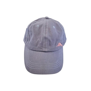 May include: A gray baseball cap with a curved brim and a small, pink embroidered logo on the side. The cap has a six-panel design with a button on top and white stitching details. The hat is made of a soft, durable fabric.